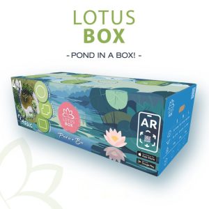 Lotus Box